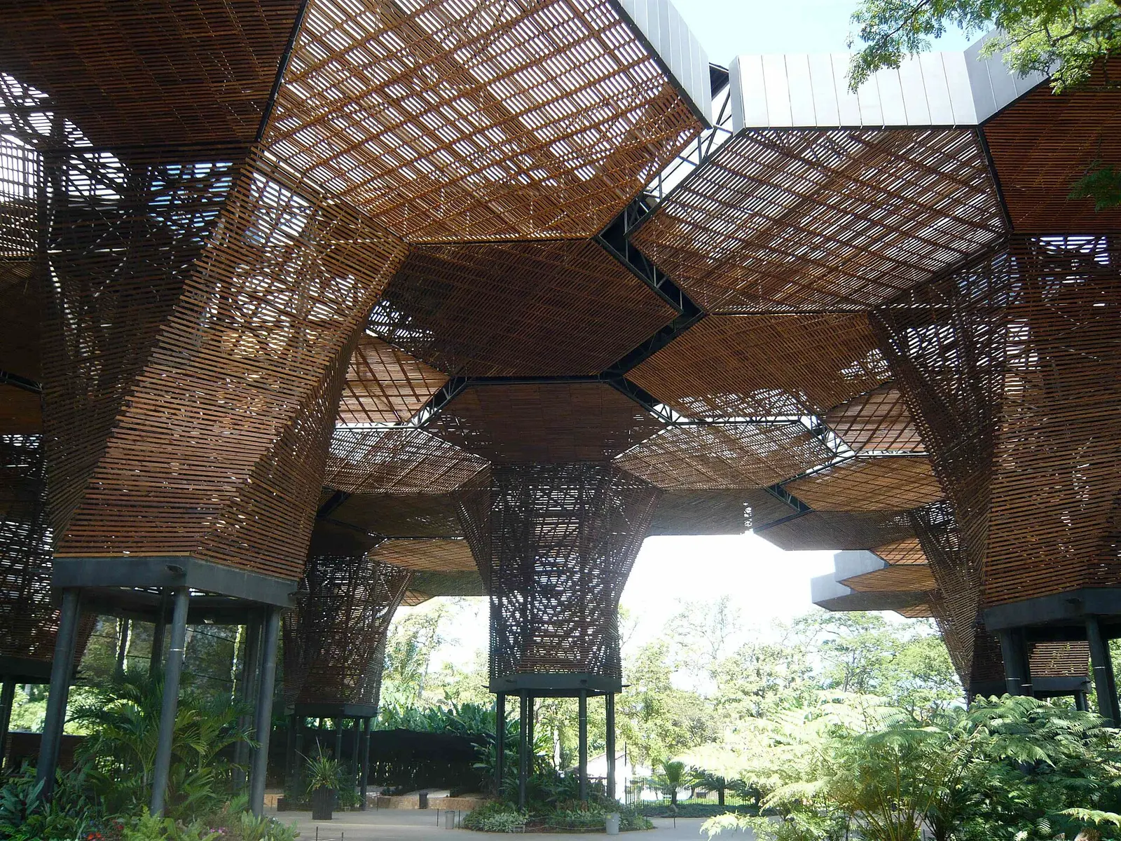 Orquideorama del Jardín Botánico